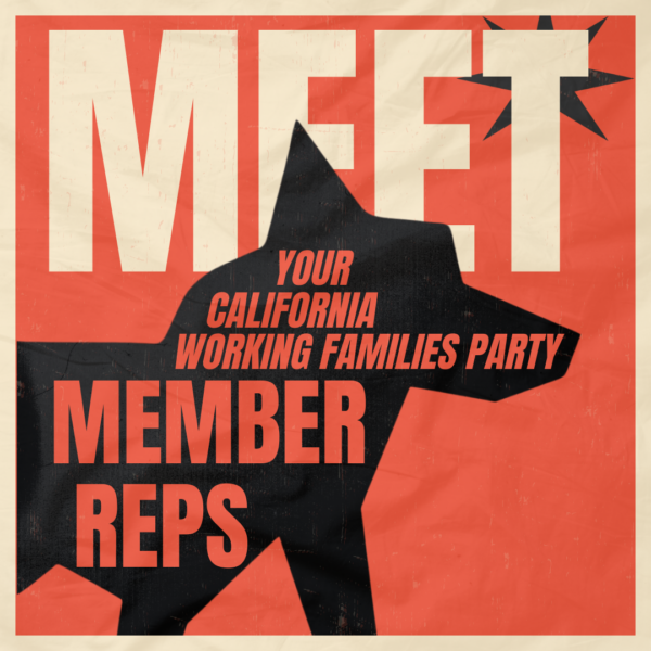 Copy of VOTE for your Working Families Party MEMBER REP (1080 x 1080 px)